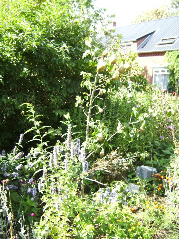 B&B Het Uilennest Bocholt Ngoại thất bức ảnh